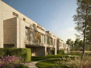 2250, Arrondissement de Turnhout, Province de Anvers, Flandre