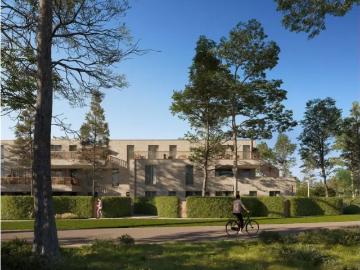 2250, Arrondissement de Turnhout, Province de Anvers, Flandre