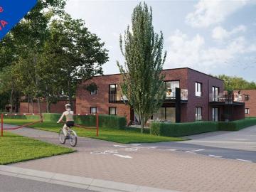 1350, Brabant wallon, Wallonie - Terras