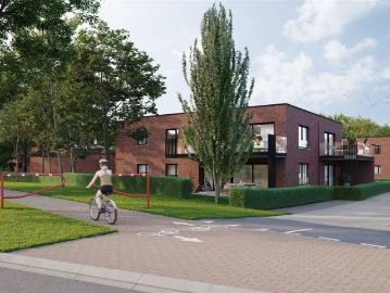 1350, Brabant wallon, Wallonie - Terras