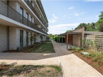 2360, Arrondissement de Turnhout, Province de Anvers, Flandre