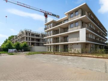 2360, Arrondissement de Turnhout, Province de Anvers, Flandre