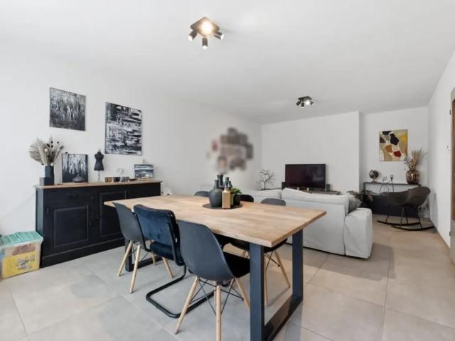 à vendre Appartement Pelt Ringlaan