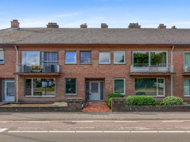 à vendre Appartement Pelt Ringlaan