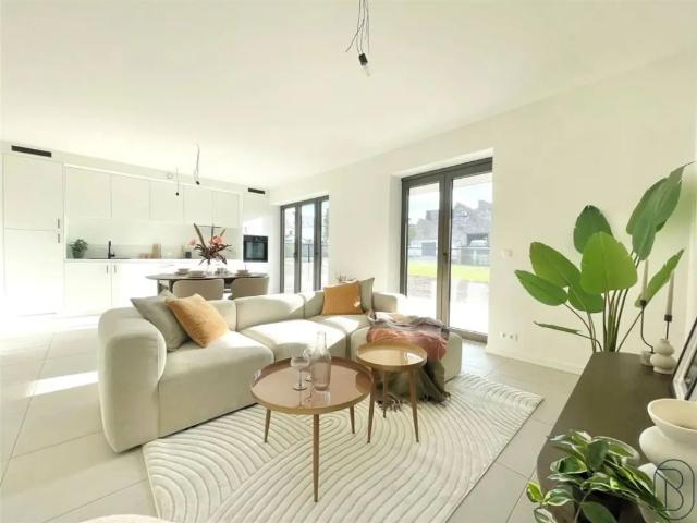 à vendre Appartement Renaix