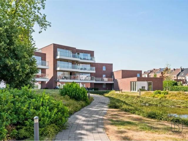 à vendre Appartement Renaix Oswald Ponettestraat