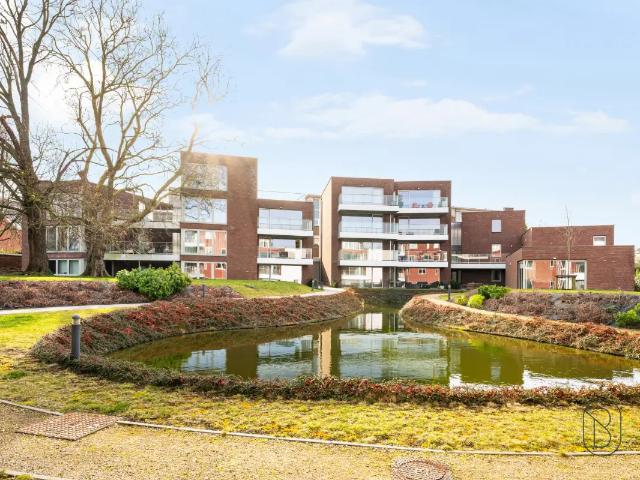 à vendre Appartement Renaix Oswald Ponettestraat