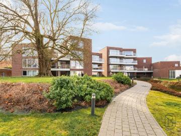 à vendre Appartement Renaix Oswald Ponettestraat