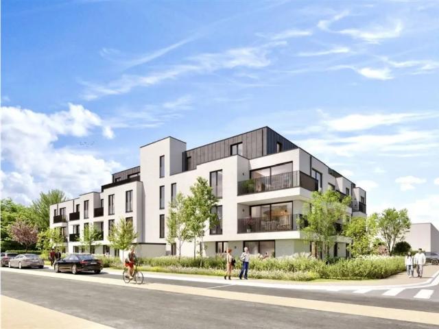 à vendre Appartement Renaix Oswald Ponettestraat