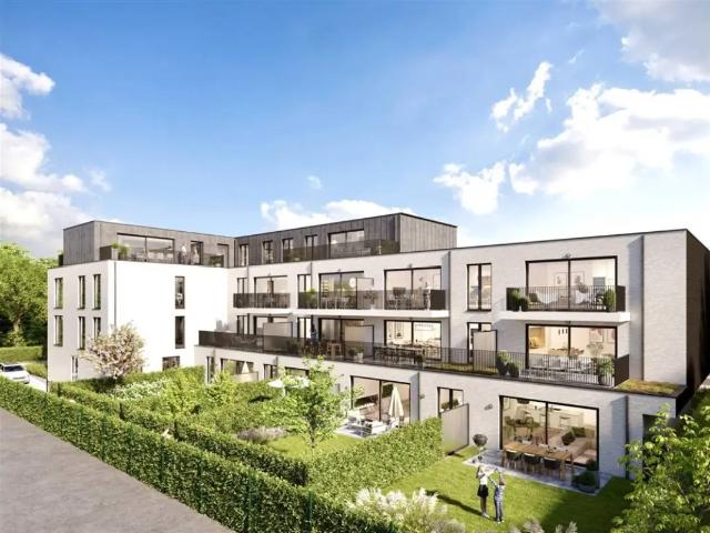à vendre Appartement Renaix Oswald Ponettestraat