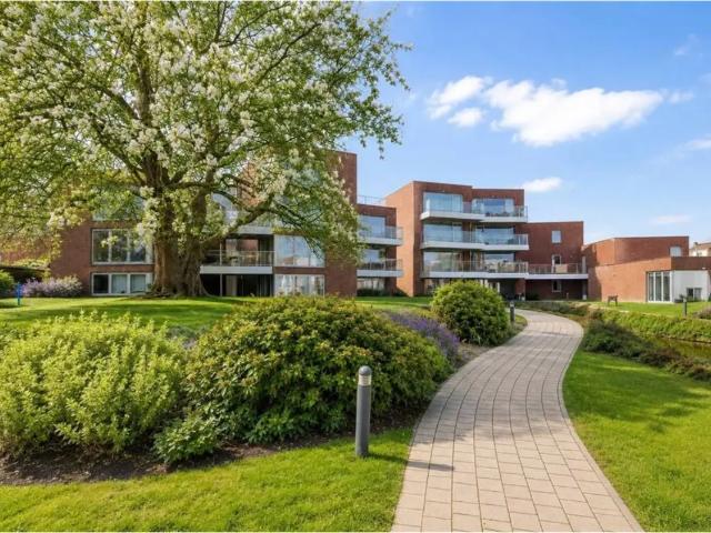 à vendre Appartement Renaix Oswald Ponettestraat