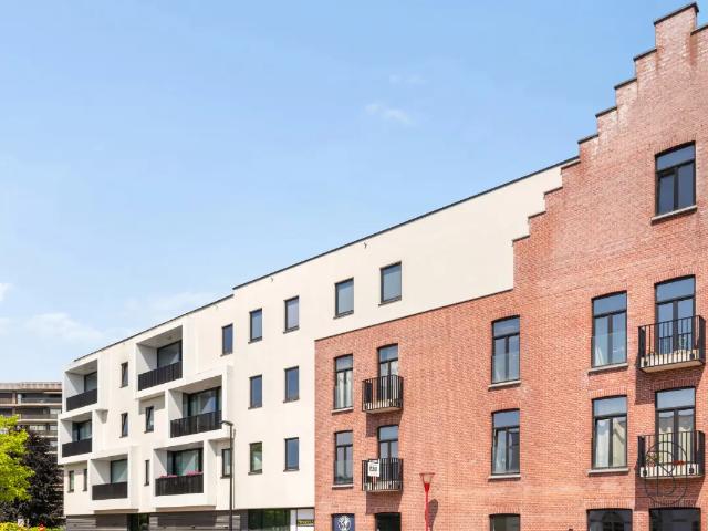 à vendre Appartement Renaix Oudstrijderslaan