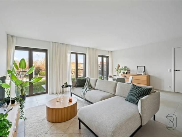 à vendre Appartement Renaix Molendam