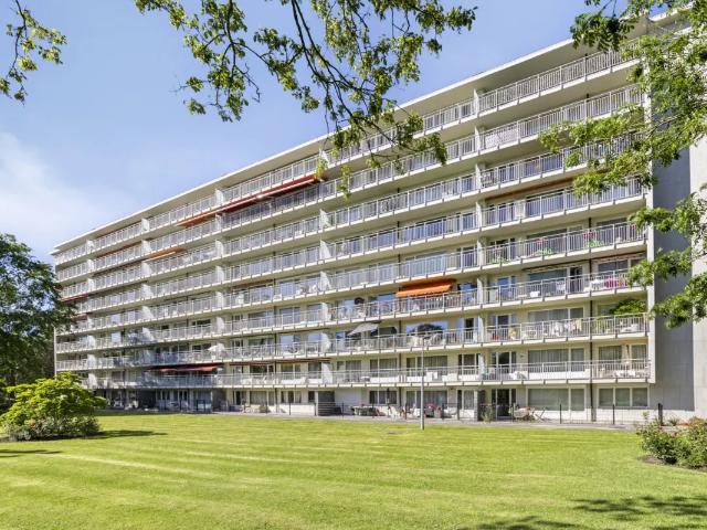 à vendre Appartement Relegem Breughelpark
