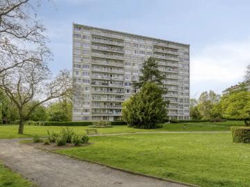 1731, Asse, Hal-Vilvorde, Flandre - Terras