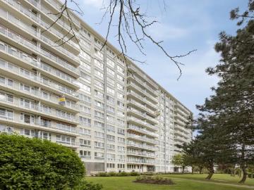 1731, Asse, Hal-Vilvorde, Flandre - Terras