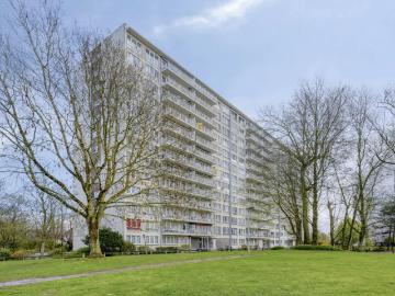 1731, Asse, Hal-Vilvorde, Flandre - Terras