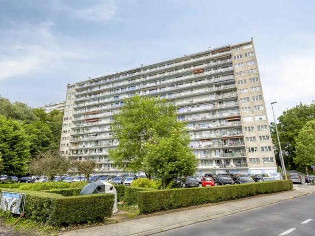 à vendre Appartement Relegem Breughelpark