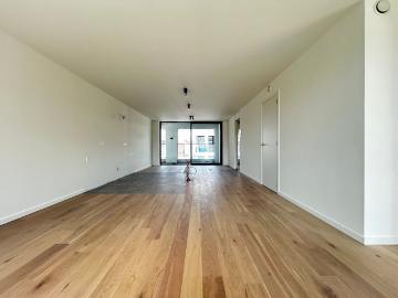 8800, Roeselare, Roulers, Flandre-Occidentale, Flandre