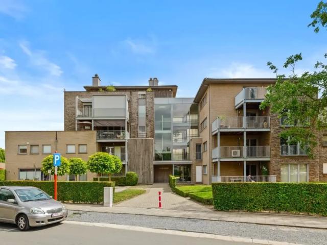 à vendre Appartement Saint Trond halmaalweg