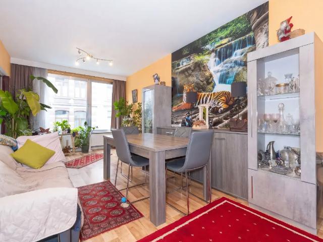à vendre Appartement Saint Josse ten Noode Rue Verboeckhaven