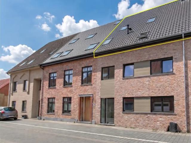 à vendre Appartement Sint Gillis Waas Kapelstraat