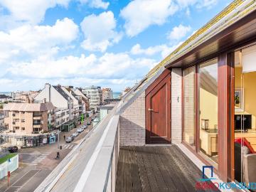 8670, Arrondissement de Furnes, Flandre-Occidentale, Flandre