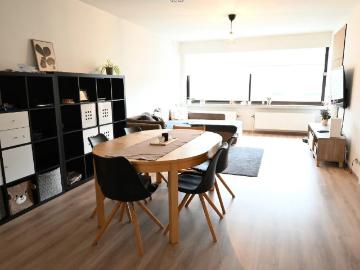 8310, Arrondissement de Bruges, Flandre-Occidentale, Flandre