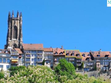 A vendre au coeur de la Vieille Ville de Fribourg un magnifique attique