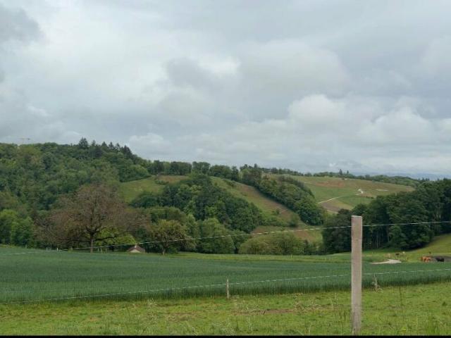 A vendre: Maison individuelle de 3,5pcs à Aubonne