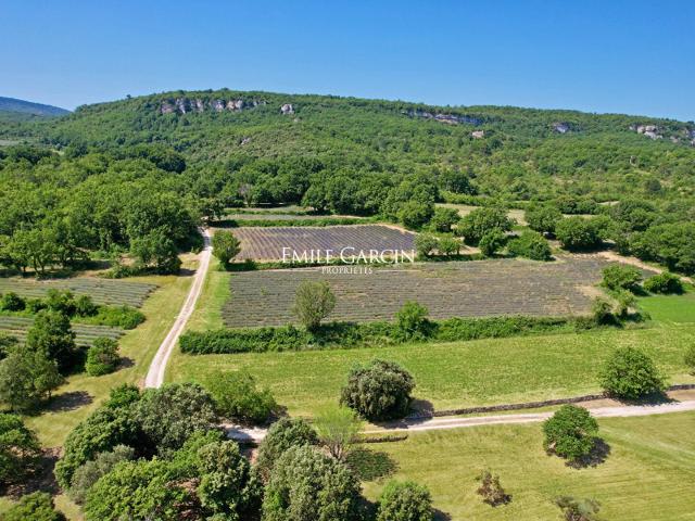 A vendre Authentique mas en pierre au coeur de la nature. 300m² Saignon