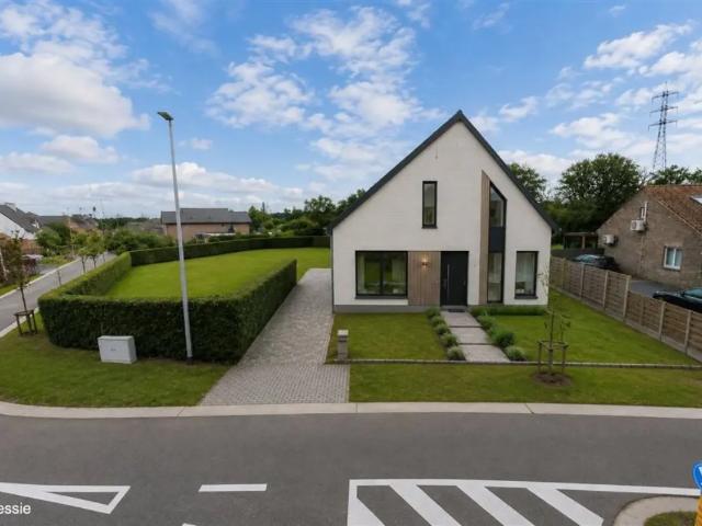 à vendre Bungalow Kuringen Hommelheide