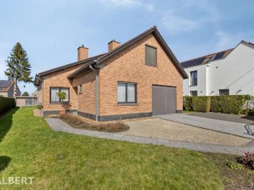 9260, Termonde, Flandre orientale, Flandre