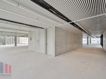 8020, Arrondissement de Bruges, Flandre-Occidentale, Flandre