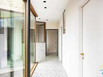 9290, Termonde, Flandre orientale, Flandre