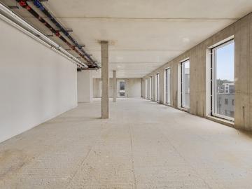 1600, Leeuw-Saint-Pierre, Hal-Vilvorde, Flandre