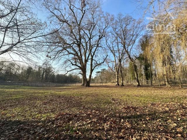 A VENDRE CHATEAU A GOUVERNES