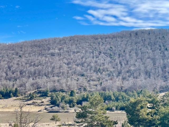 À VENDRE – Château à rénover sur domaine de 67 hectares