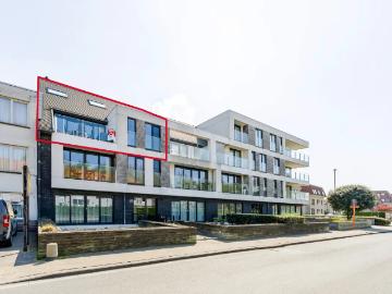 8450, Ostende, Flandre-Occidentale, Flandre