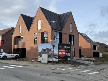 1755, Gooik, Hal-Vilvorde, Flandre - Terras