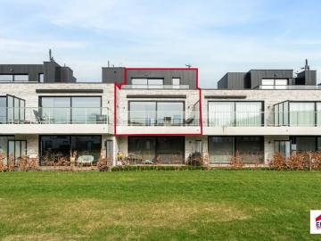 1700, Dilbeek, Hal-Vilvorde, Flandre - Terras