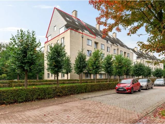 à vendre Duplex Herentals Pol Heynsstraat