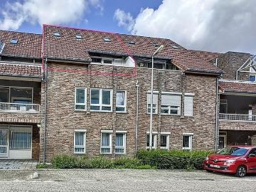 3920, Arrondissement de Maaseik, Limbourg, Flandre, Flandre