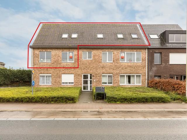 à vendre Duplex Rijkevorsel Oostmalsesteenweg