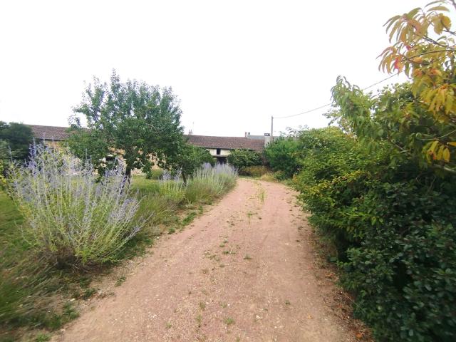 À vendre en exclusivité Propriété spacieuse avec chambre d’hôte et gîte indépendants Parçay sur Vienne 37