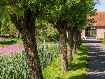 8800, Roeselare, Roulers, Flandre-Occidentale, Flandre