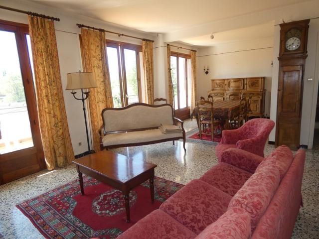 À VENDRE – Grande villa avec terrain boisé avec une olivette à Sisteron