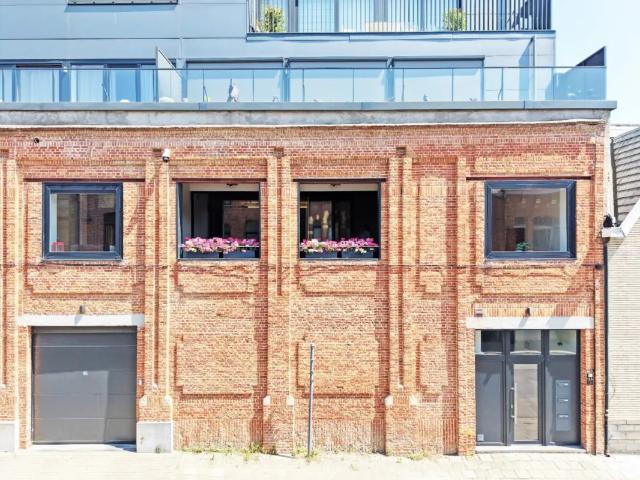 à vendre Loft Alost De Vilanderstraat
