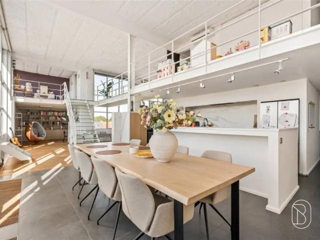 à vendre Loft Leupegem Ronseweg