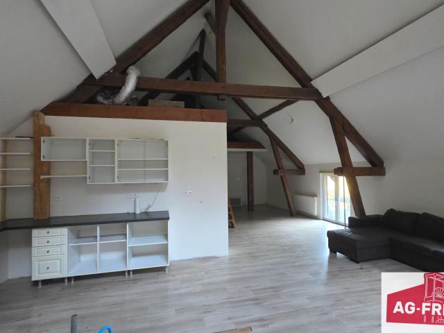 A vendre maison 223 m2 sur 41,94 ares de terrain au Bonhomme dans le Haut Rhin 68